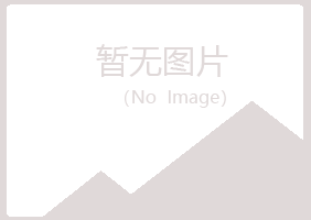 合山男孩会计有限公司